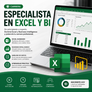 Carrera Especialista en Excel y BI