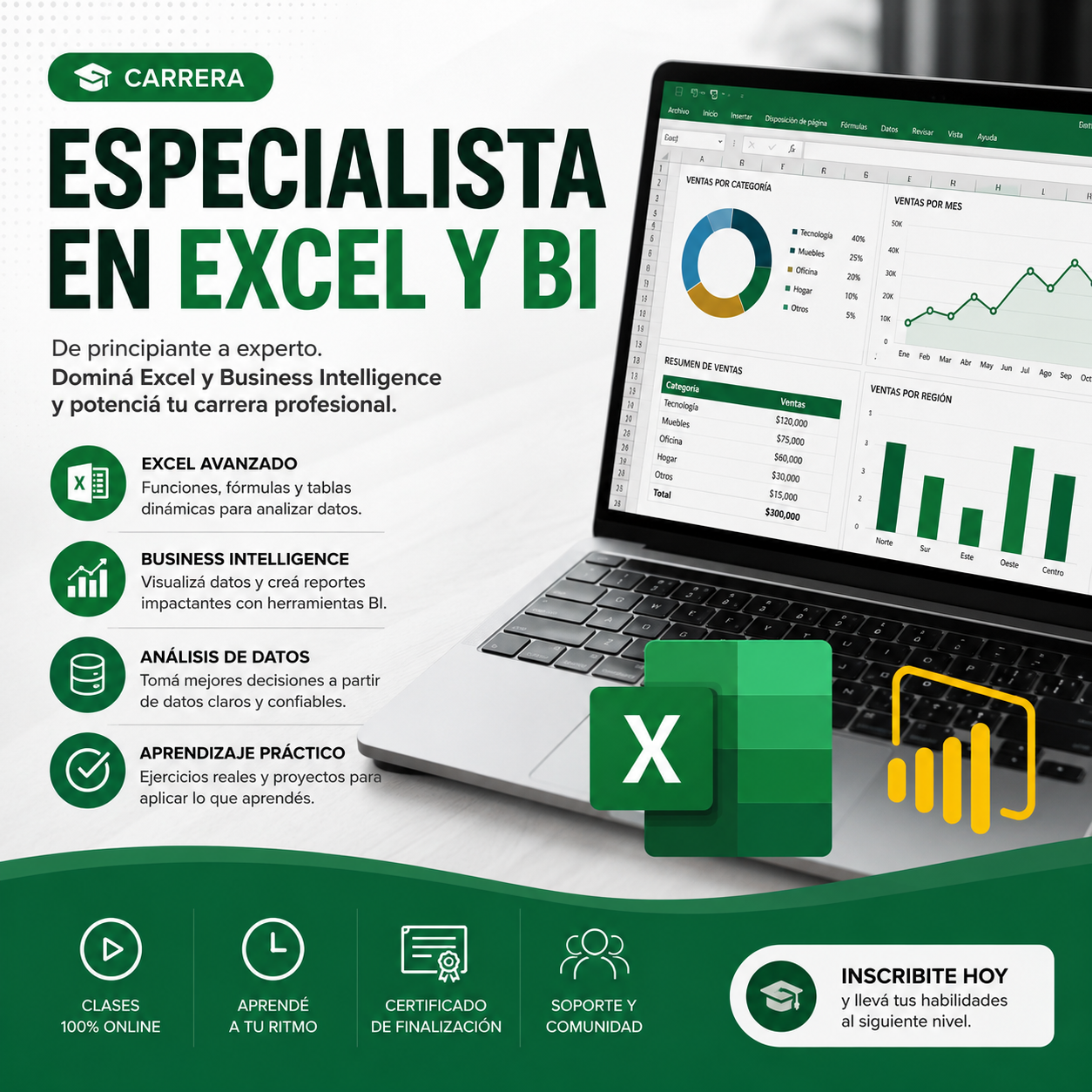 Carrera Especialista en Excel y BI