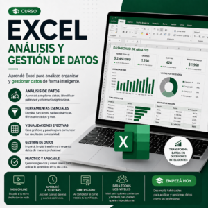 Curso Excel Análisis y Gestión de Datos