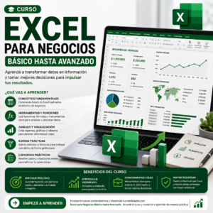 Excel para Negocios Básico hasta Avanzado