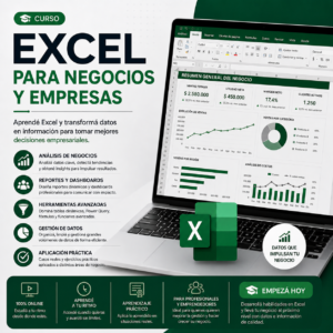 Excel para Negocios y Empresas